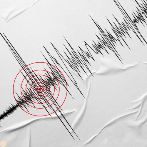 איך לעבור בדיקת פוליגרף בהצלחה